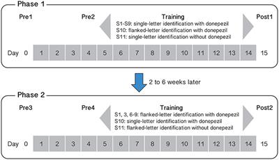 Donepezil Does Not Enhance Perceptual Learning in Adults with Amblyopia: A Pilot Study